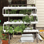 Smaller spaces call for micro gardens